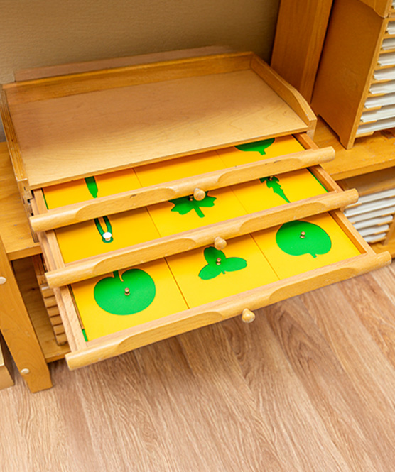 Souvenirs and Magnets